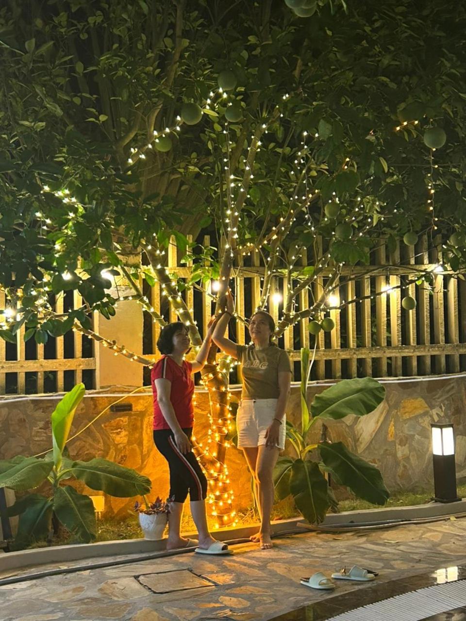 Hosu Hanoi