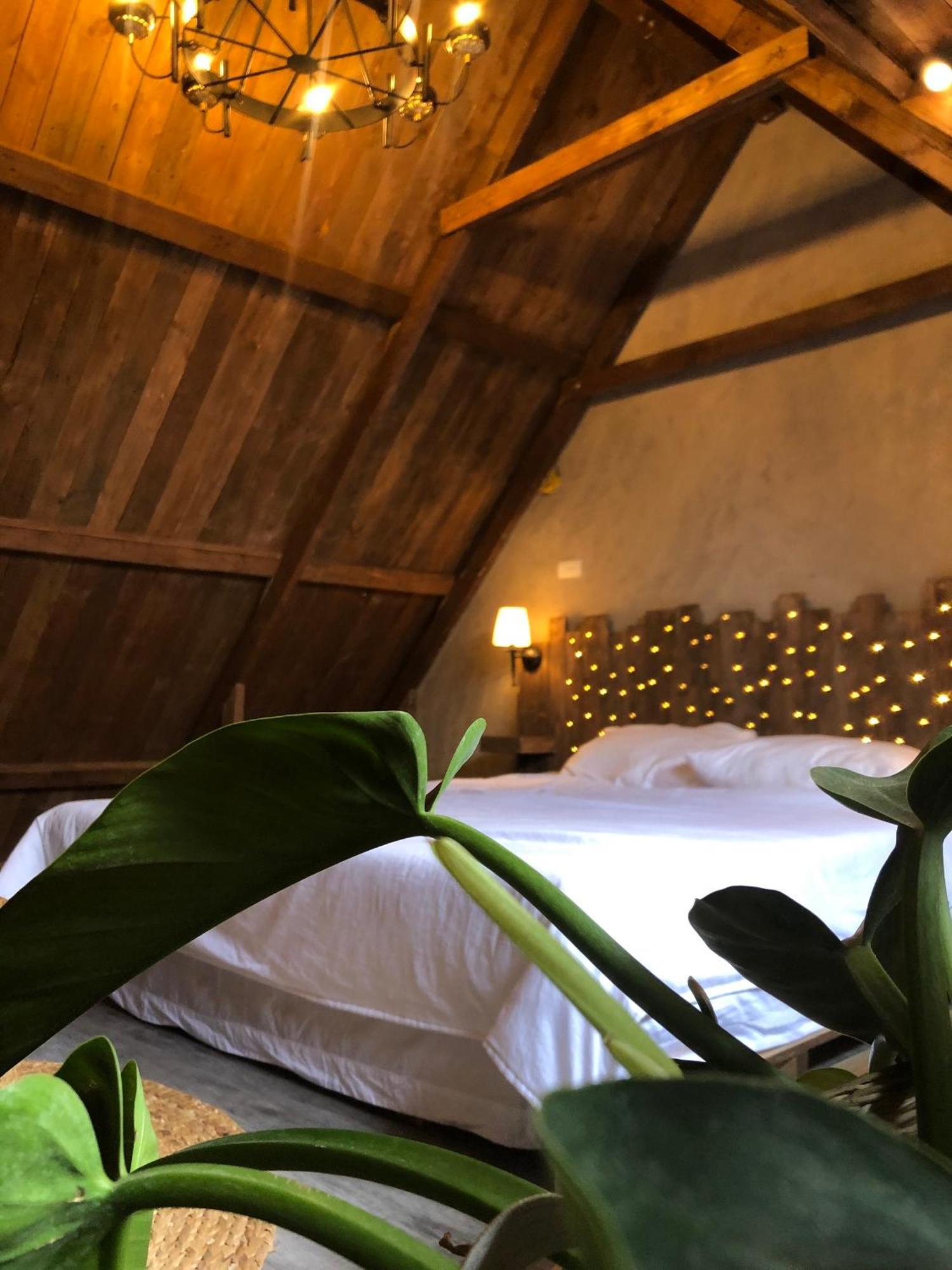Lii's Homestay