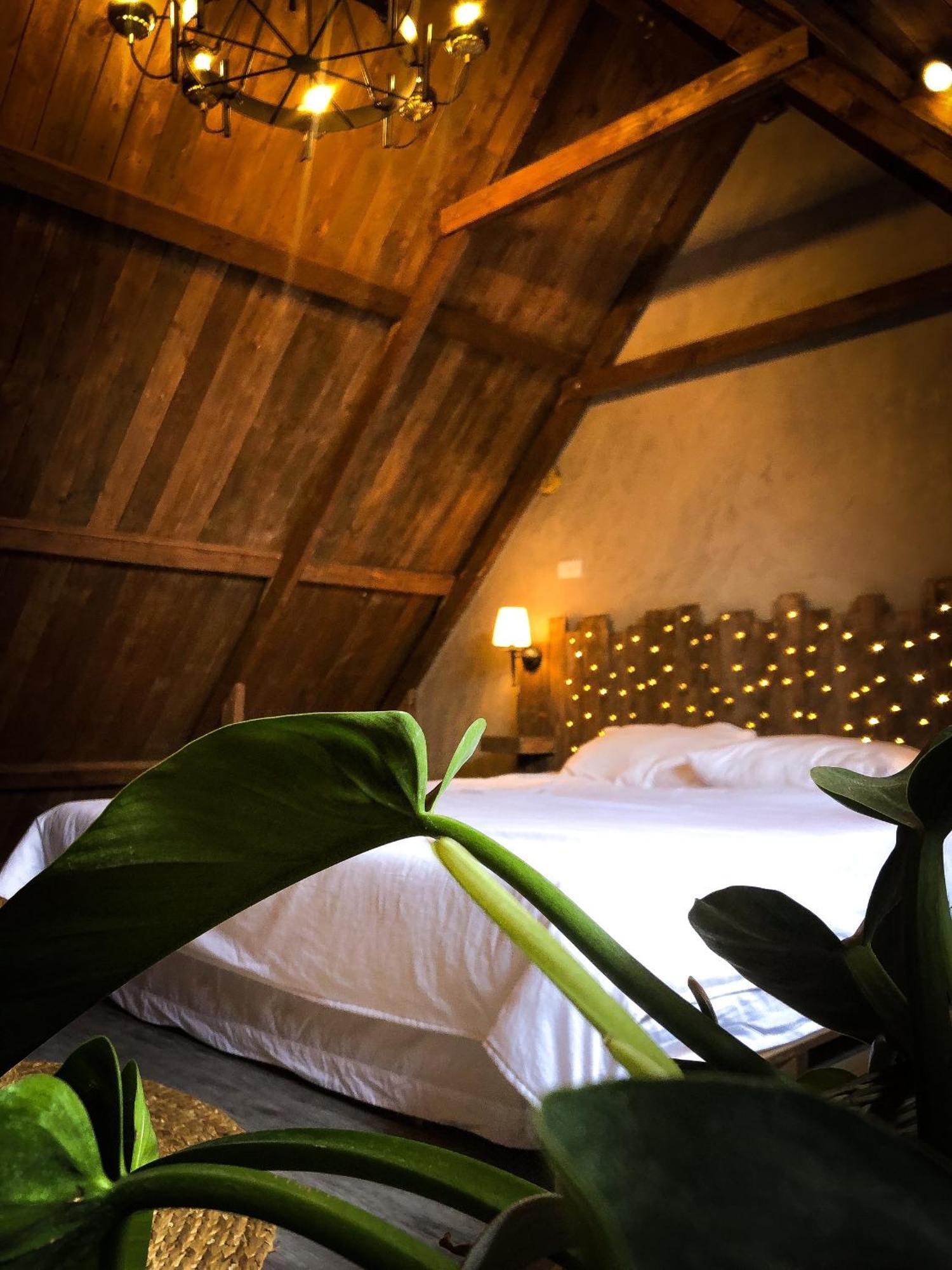 Apartment Lii's Homestay *