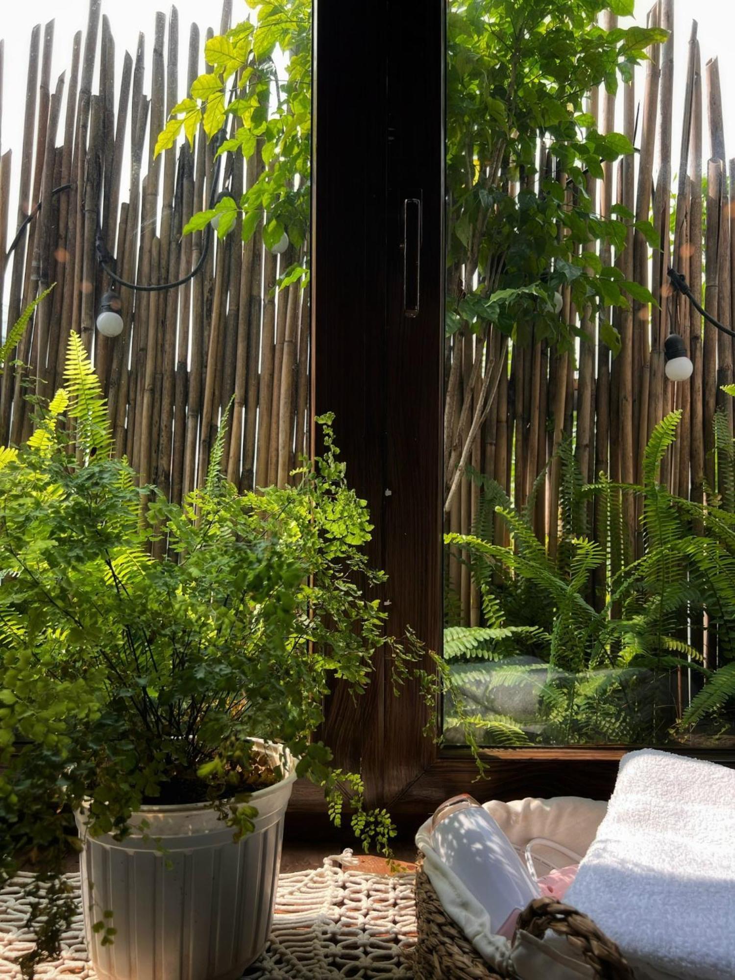 Lii's Homestay