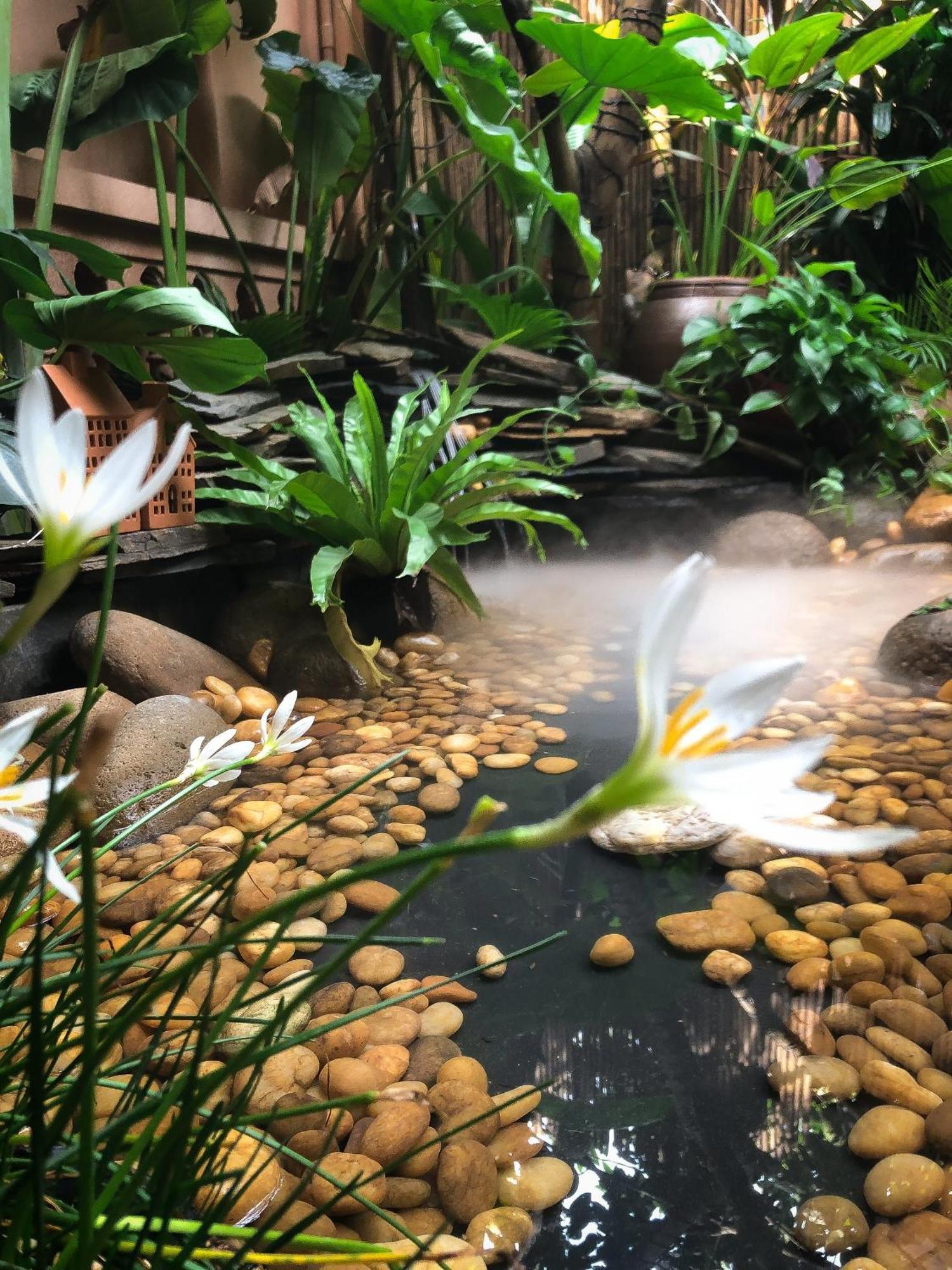 Lii's Homestay Hanoi