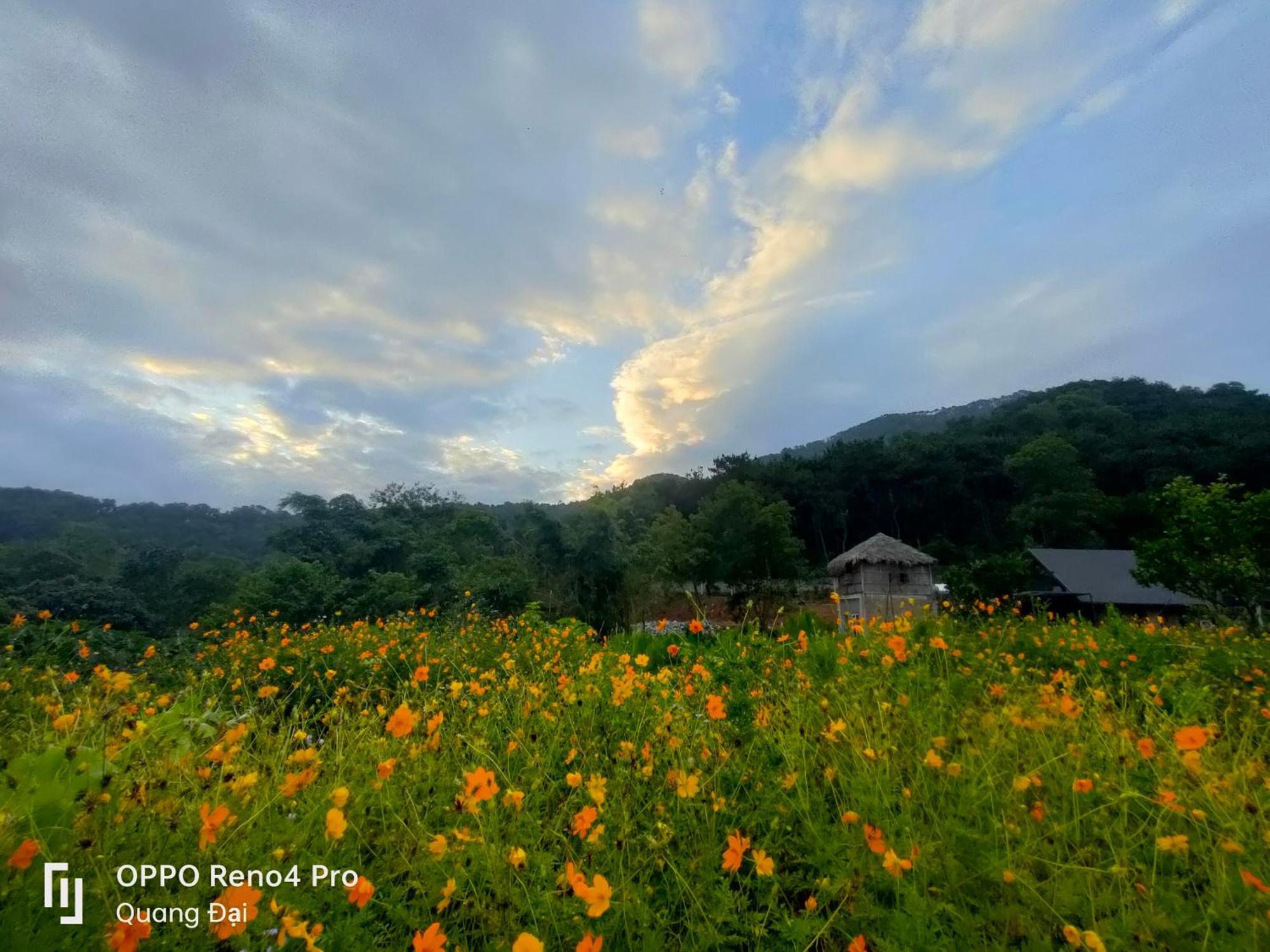 Soc Son Homestay - Bird House
