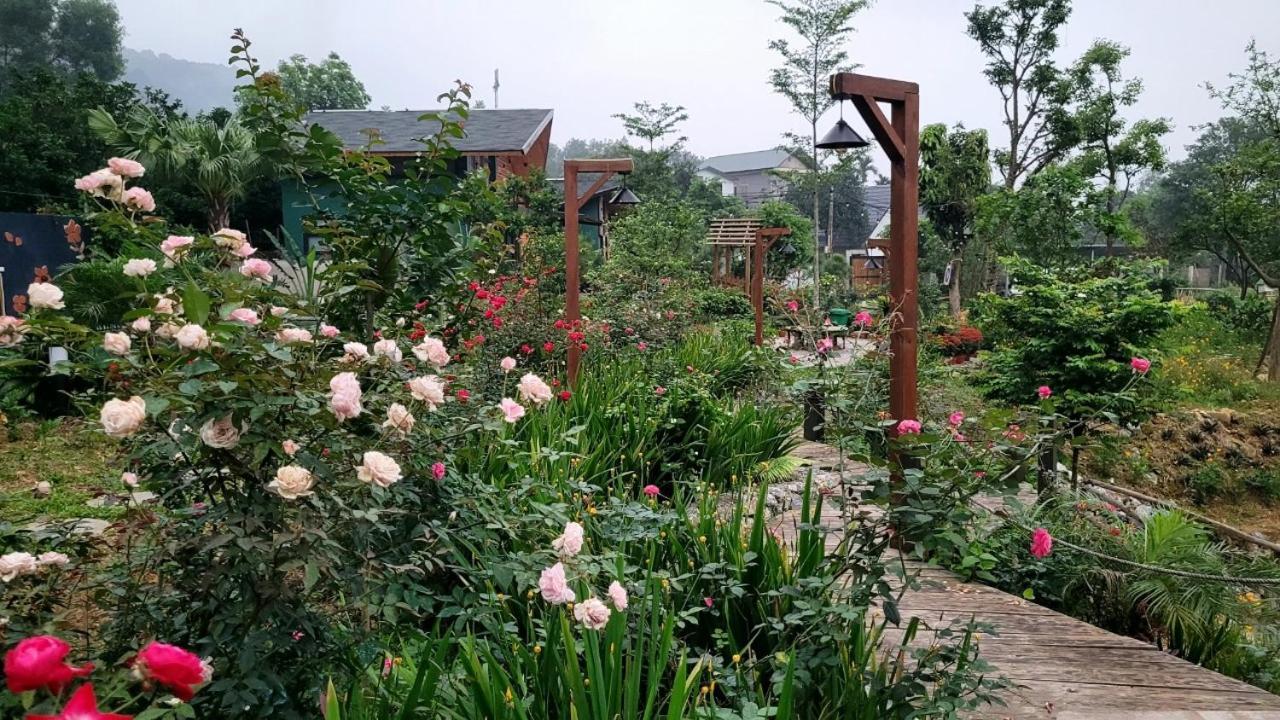 Pondok Soc Son Homestay - Bird House