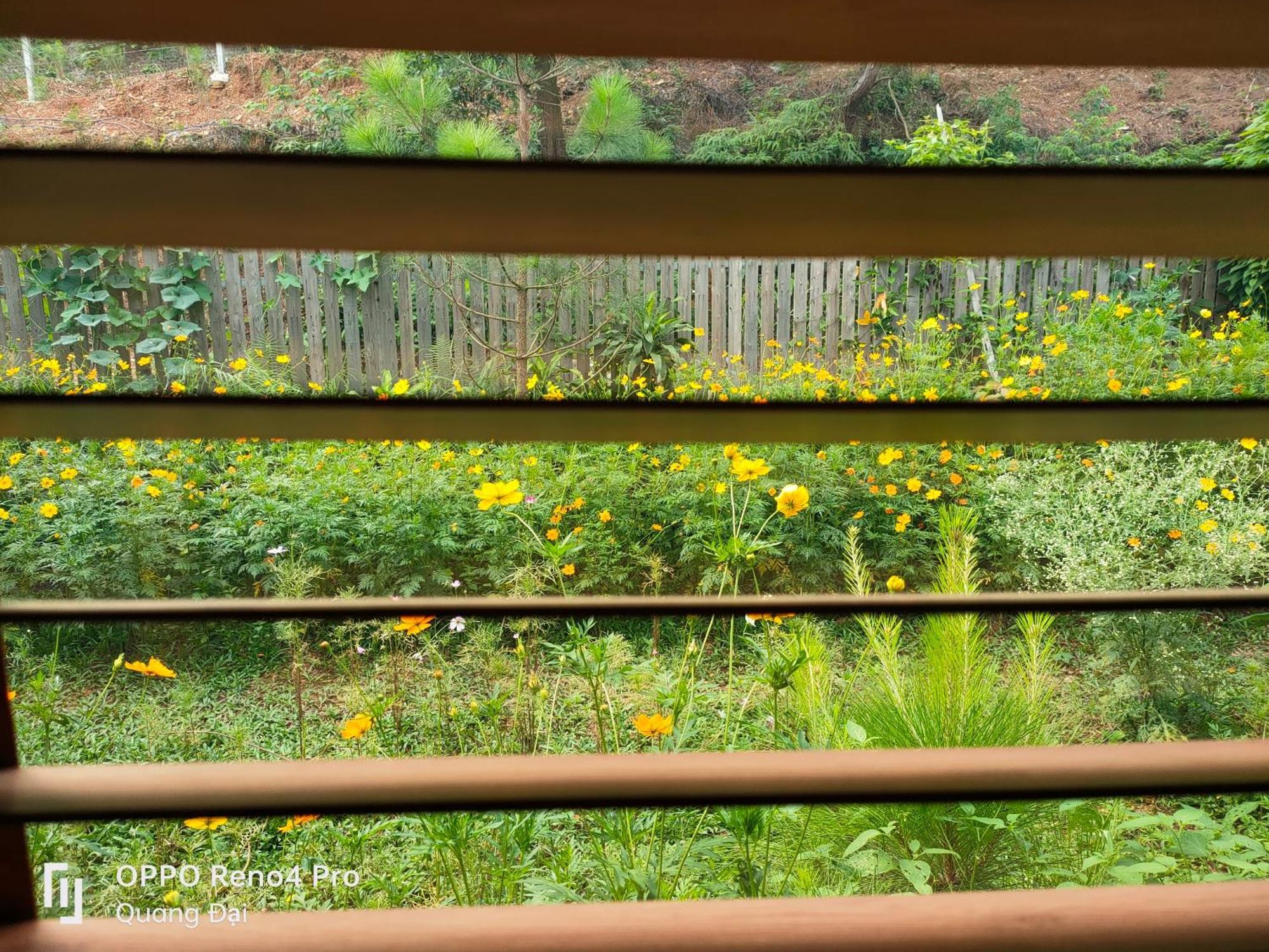 Pondok Soc Son Homestay - Bird House