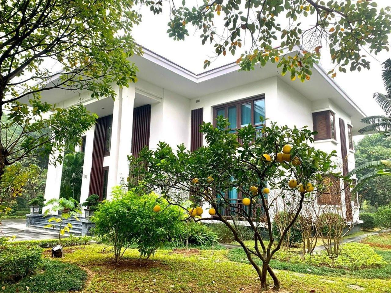 Ncc Garden Villas - Ncc Hotel