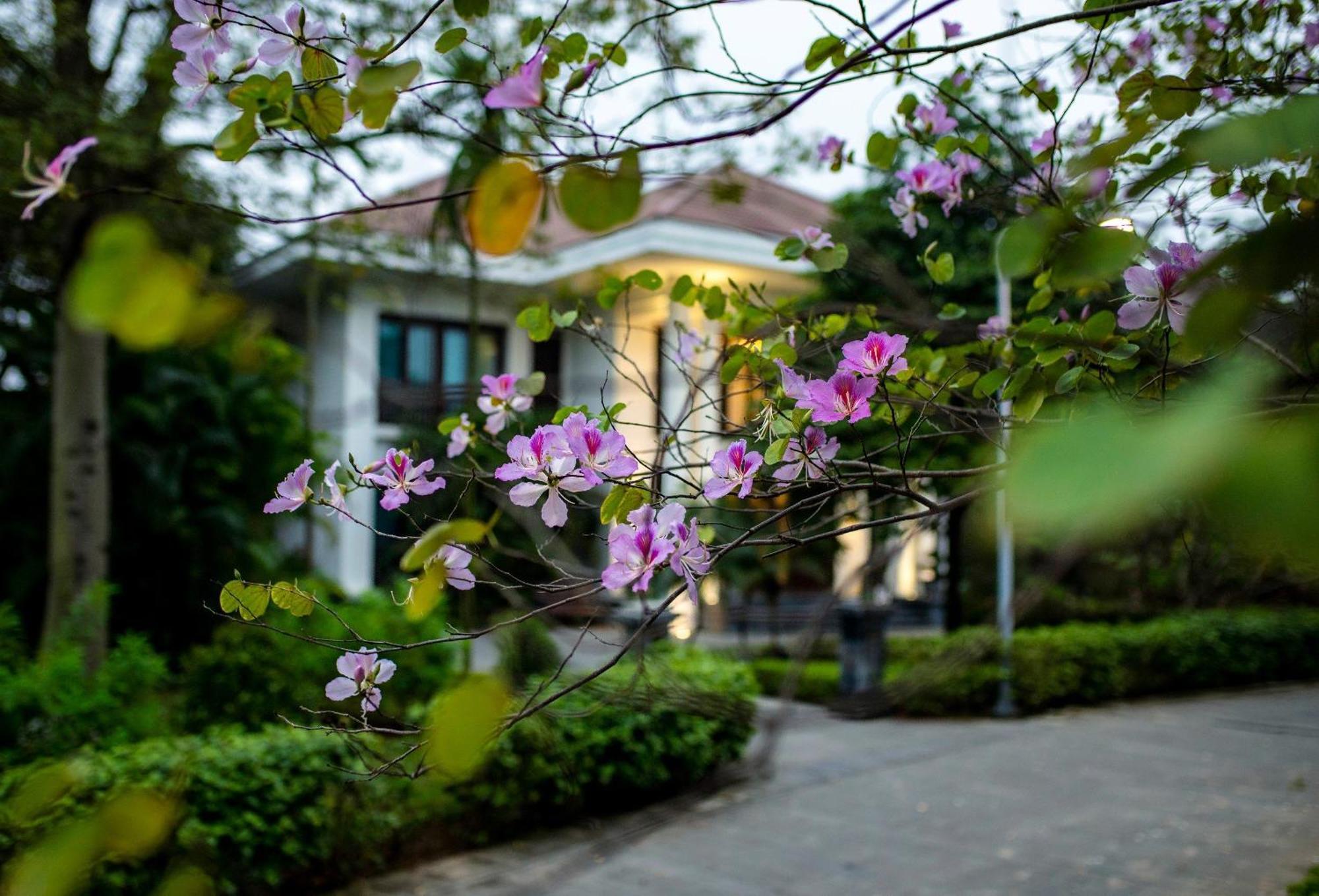 Ncc Garden Villas - Ncc Hotel Hotel 4*
