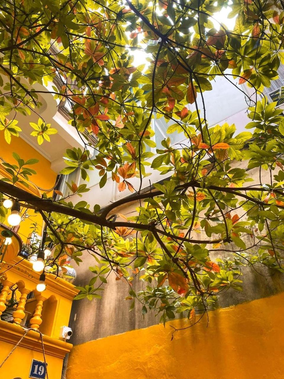 Morri - Quan Thanh Aparthotel Hanoi