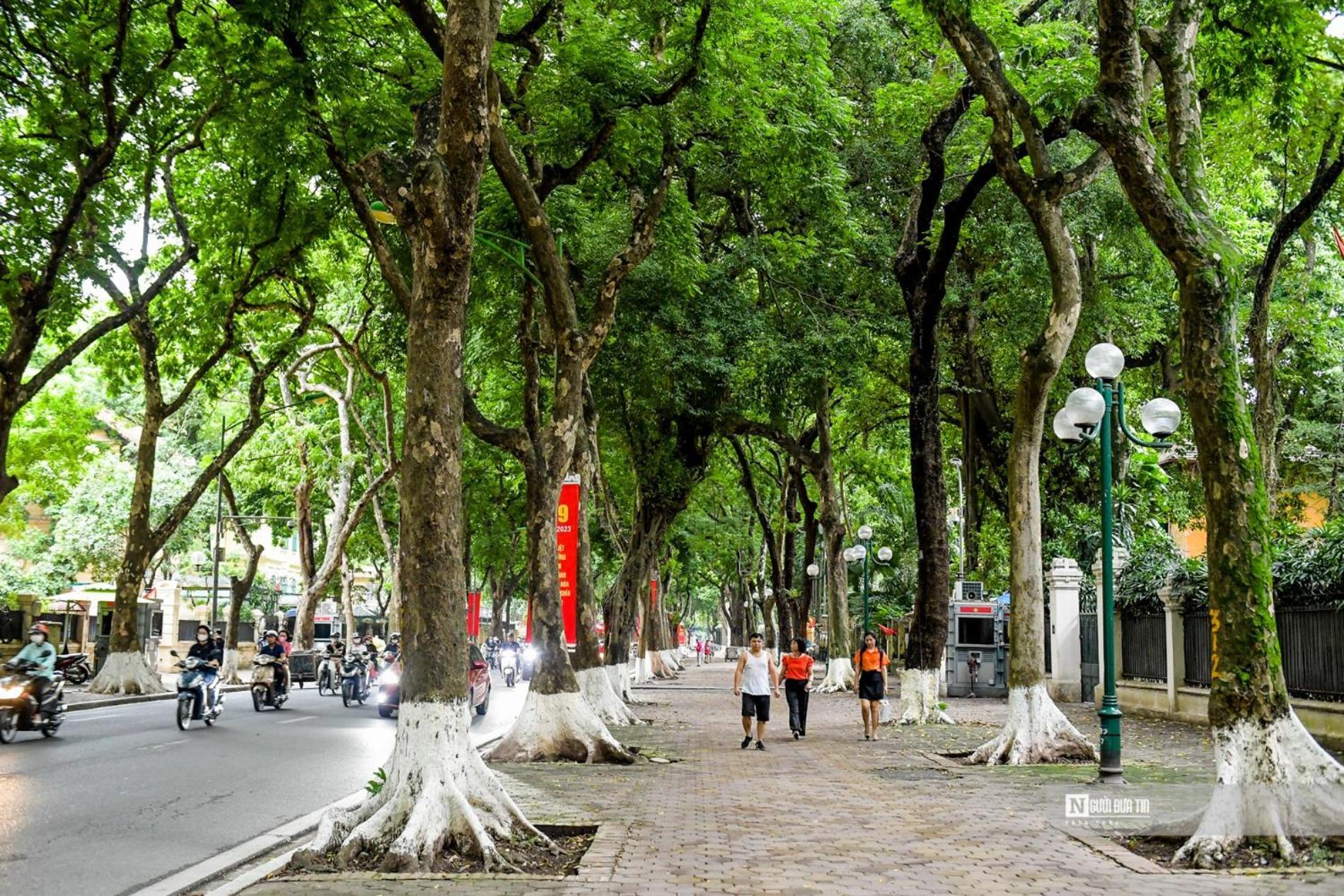 Morri - Quan Thanh * Hanoi