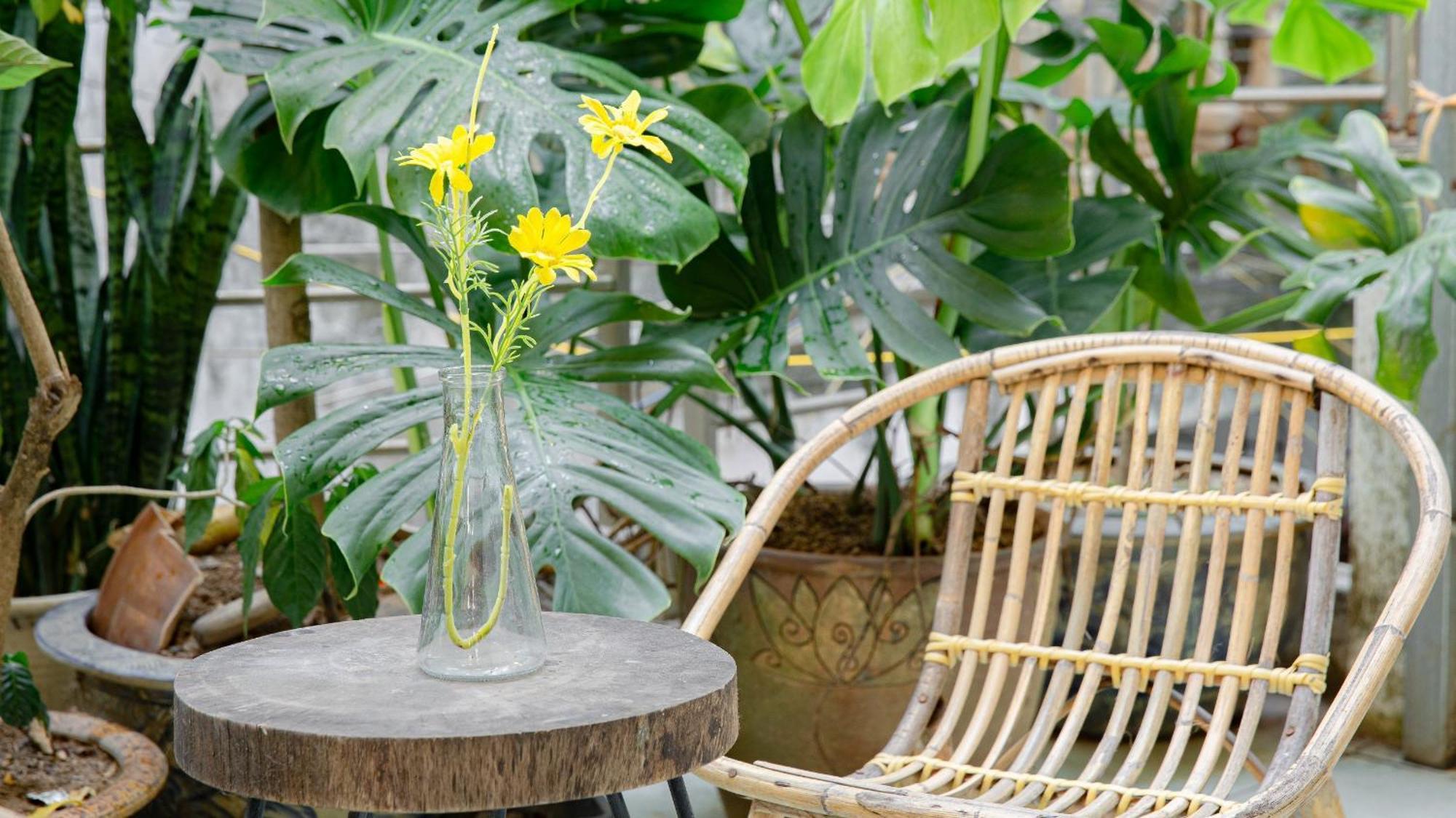 Sisan 294 Kim Ma Ban Cong Thu Gian Homestay Hanoi