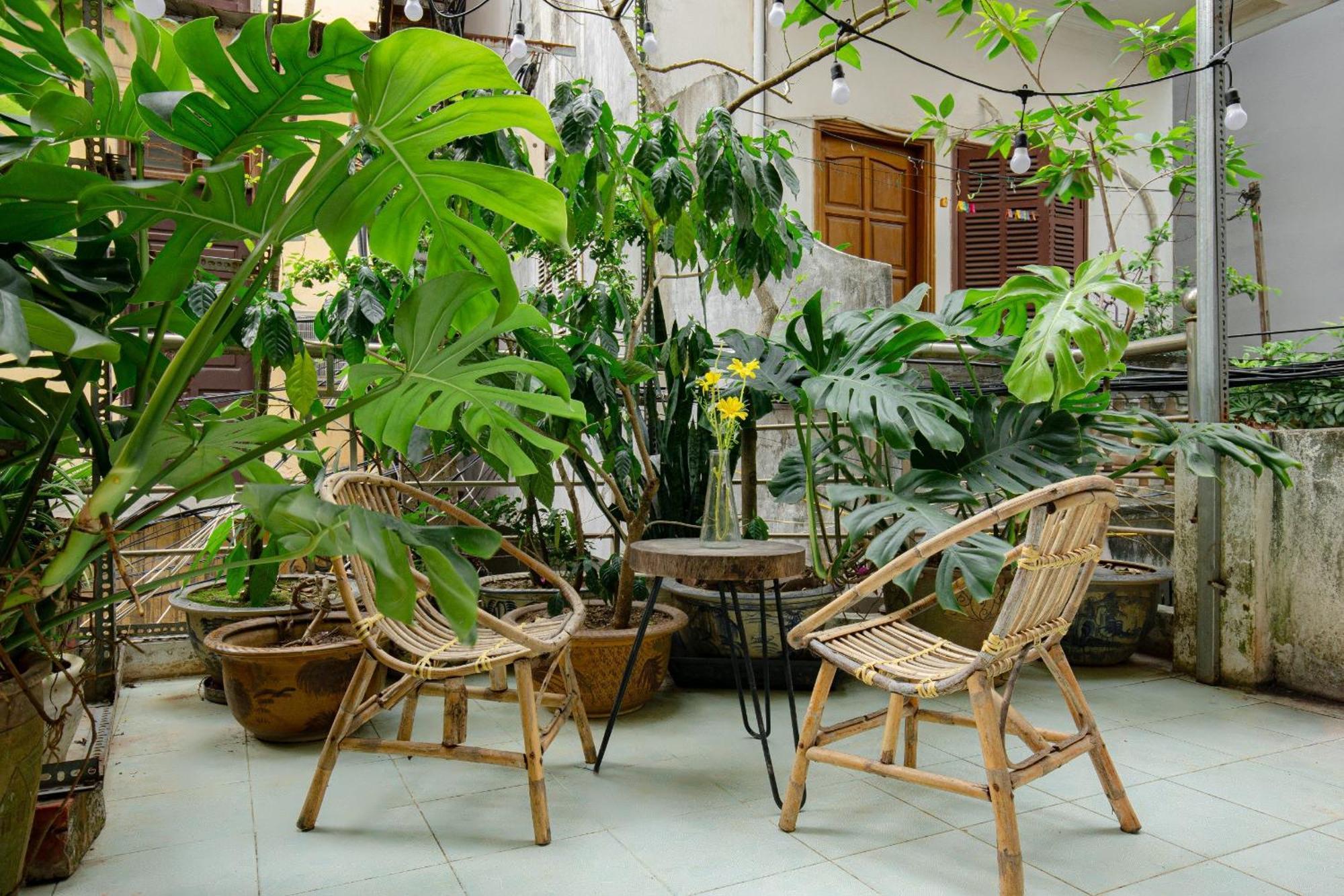 Homestay Sisan 294 Kim Ma Ban Cong Thu Gian Hanoi