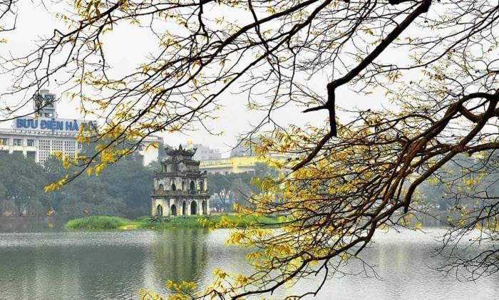 Little Seeds House-hanoi, 4brs,cinema, Old Quarter Bahay bakasyunan Hanoi