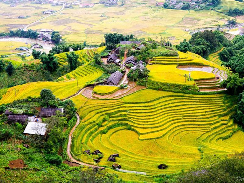 Win & Travel Hanoi