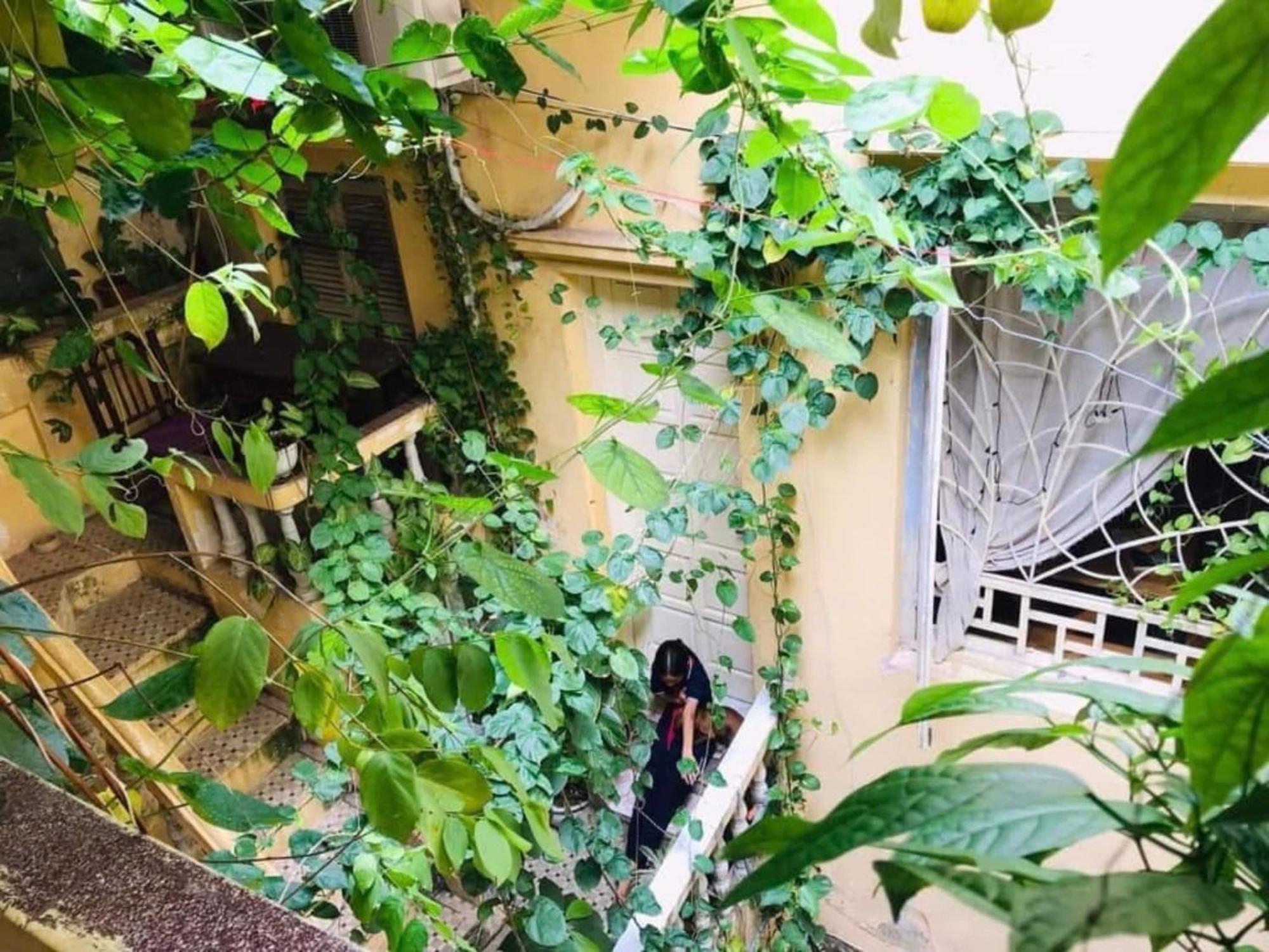 Apartamento Azalea Hanói
