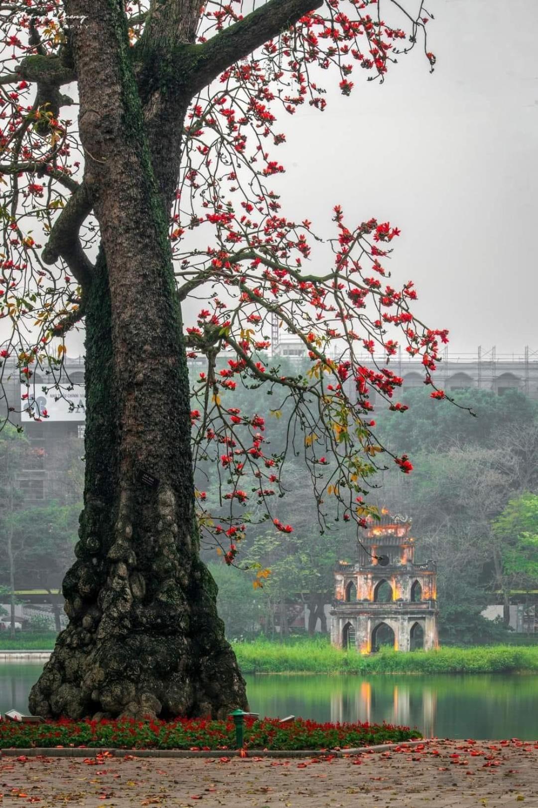 Il Divo & 61 Bat Su * Hanoi