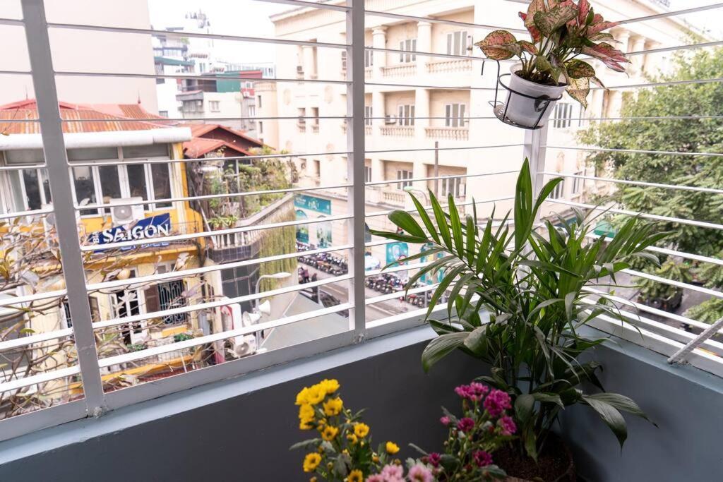 Apartment Hione