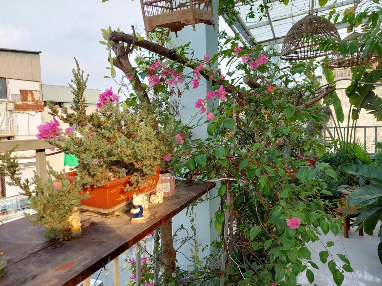 Alleyhomestay 2 *
