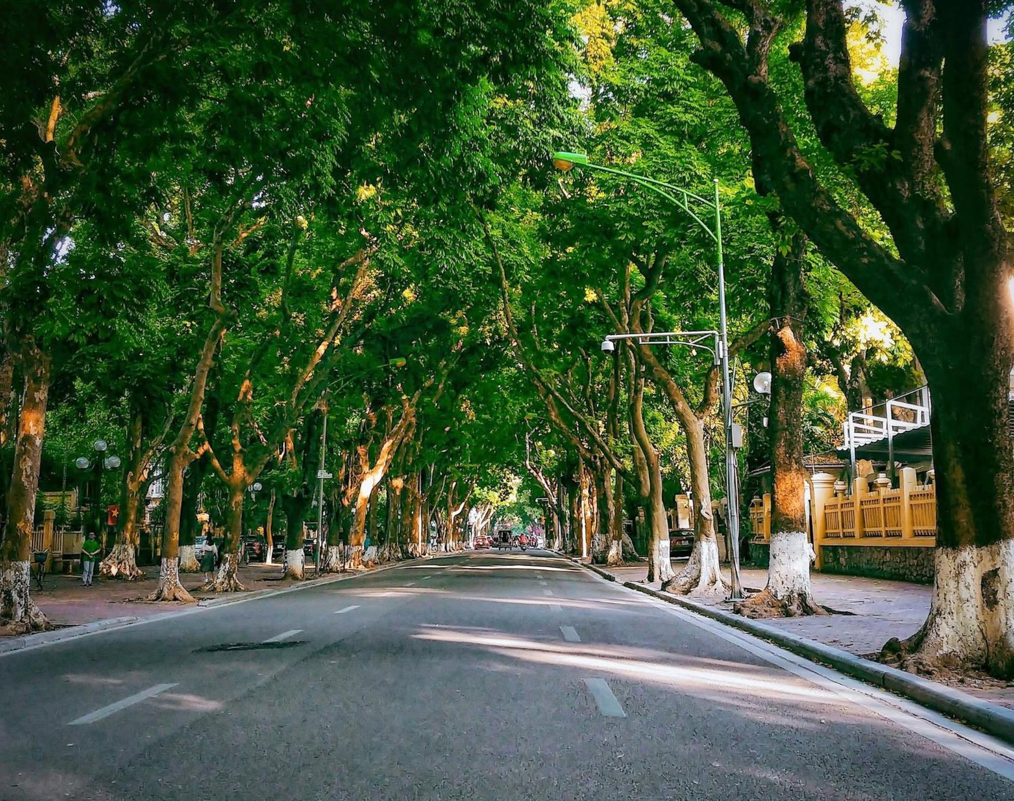 Morri - Quan Thanh * Hanoi