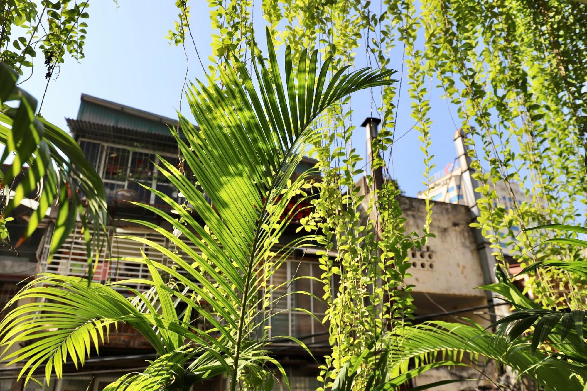 The Garden House *