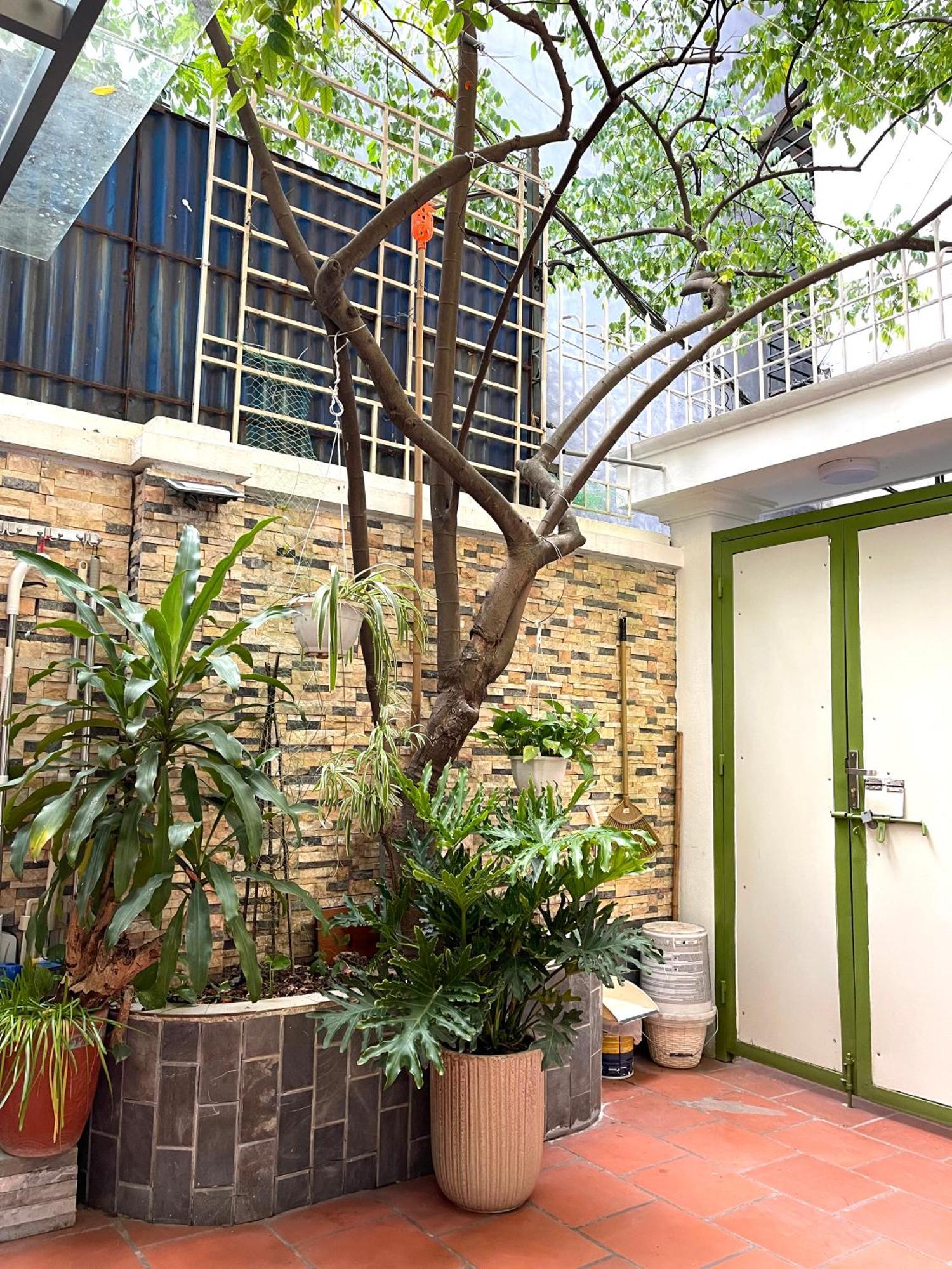 Peaceful House Hà Nội