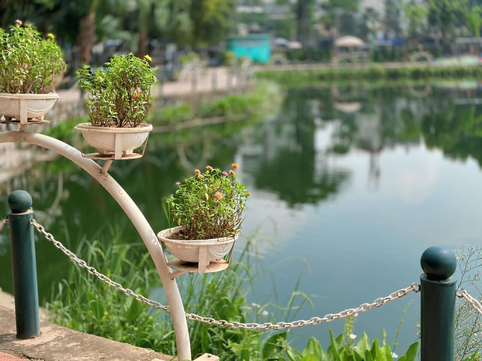 Lee Ah Homestay