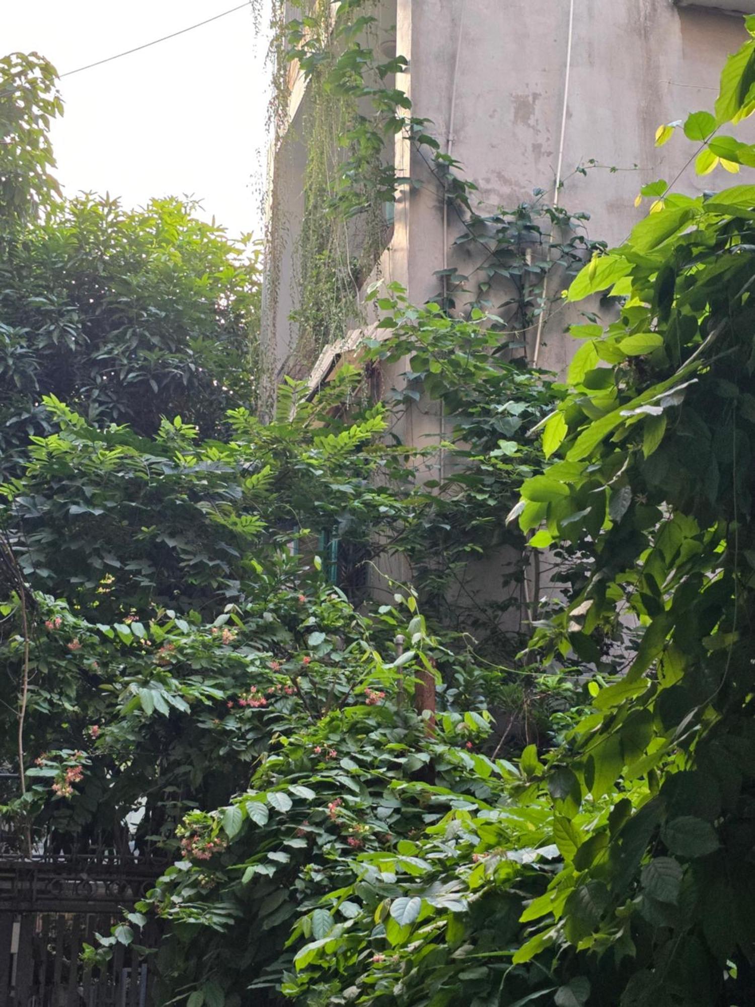 Căn hộ 12a/89 Pham Dong, Ha Noi