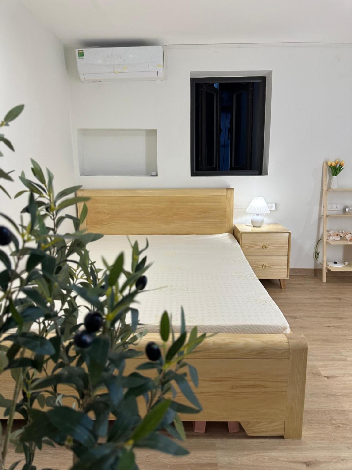 Apartment Dk2 *