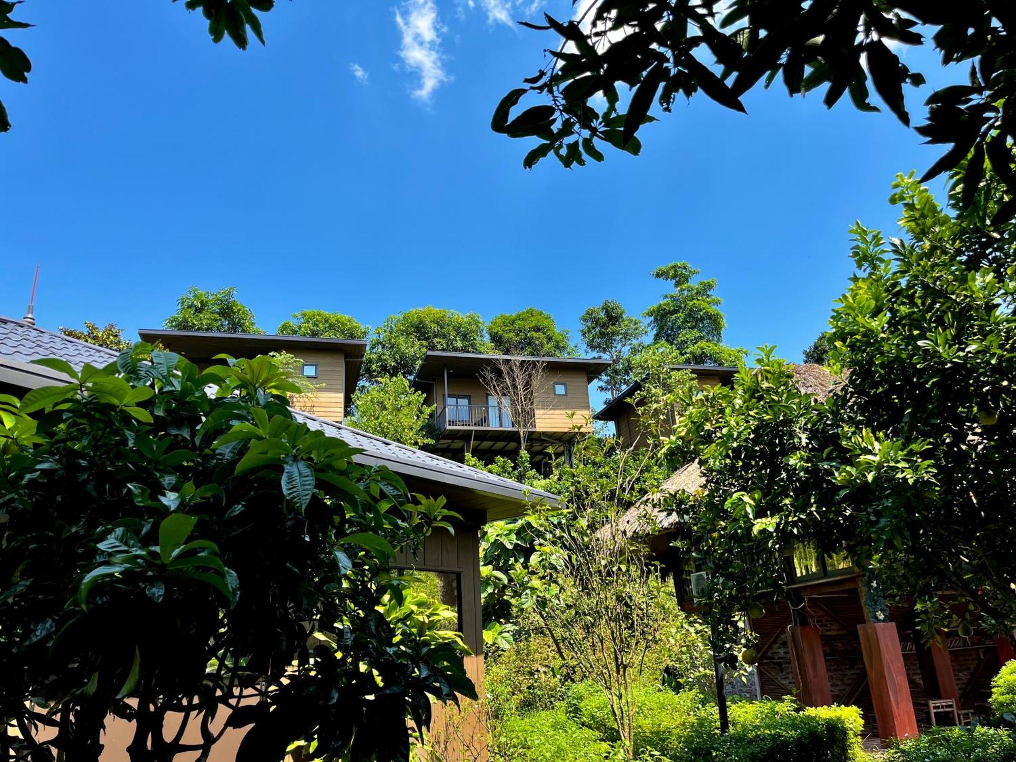 Sapphire Hill Farm stay