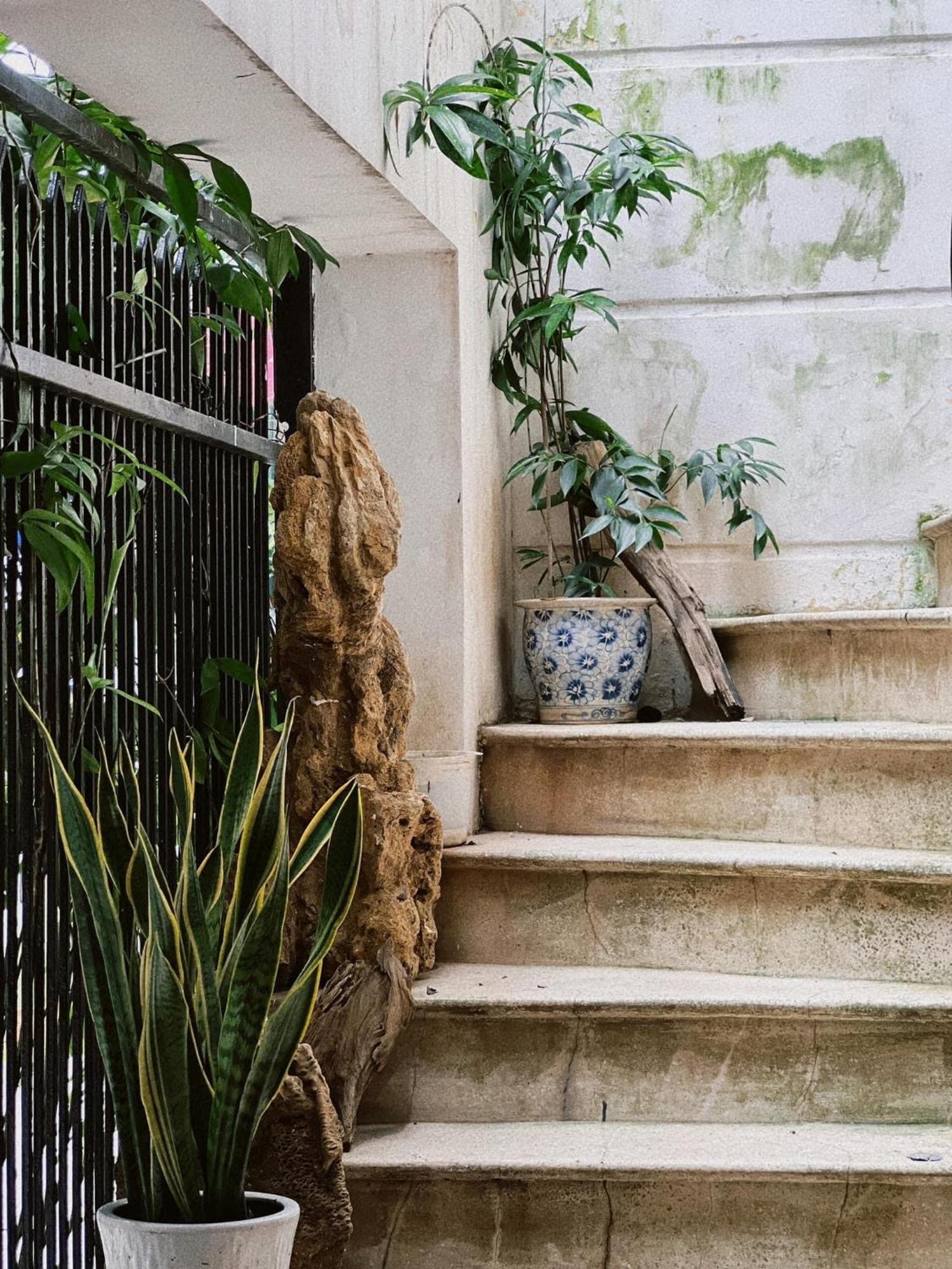 Homestay Ngao - Lang Ha Hanoi