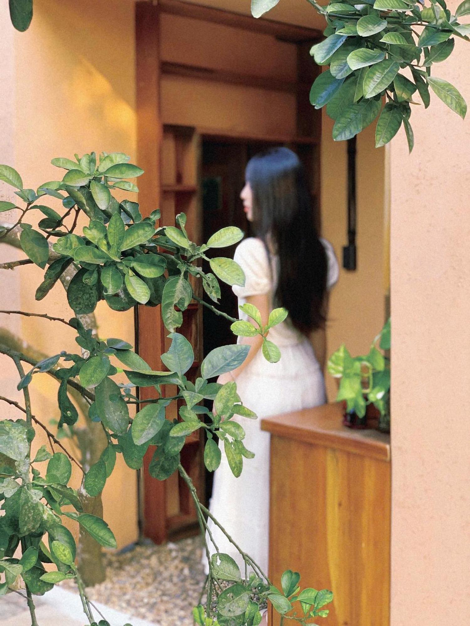 Moncada Ba Vi Nhà ở miền quê *