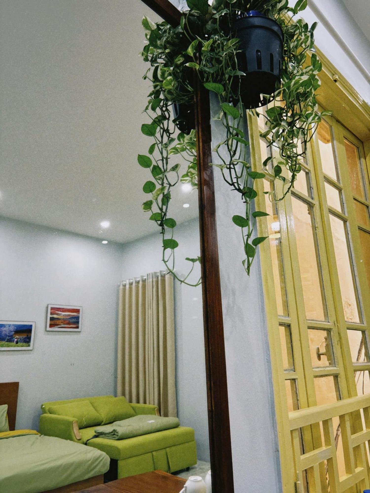 Azalea Apartamento