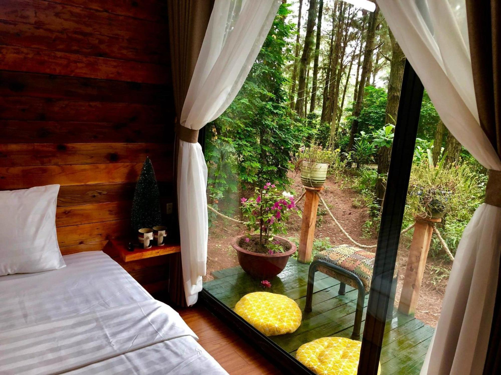 Pine Hill & Chalet *