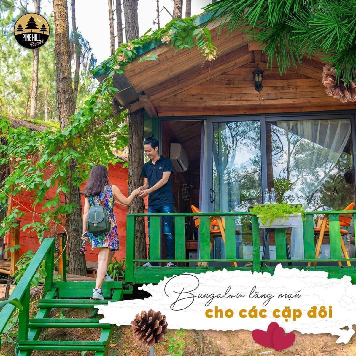 Pine Hill & Chalet