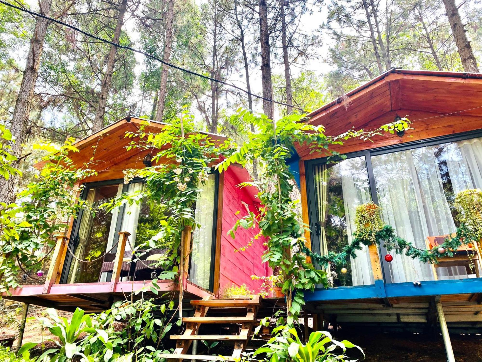 Chalet Pine Hill & *