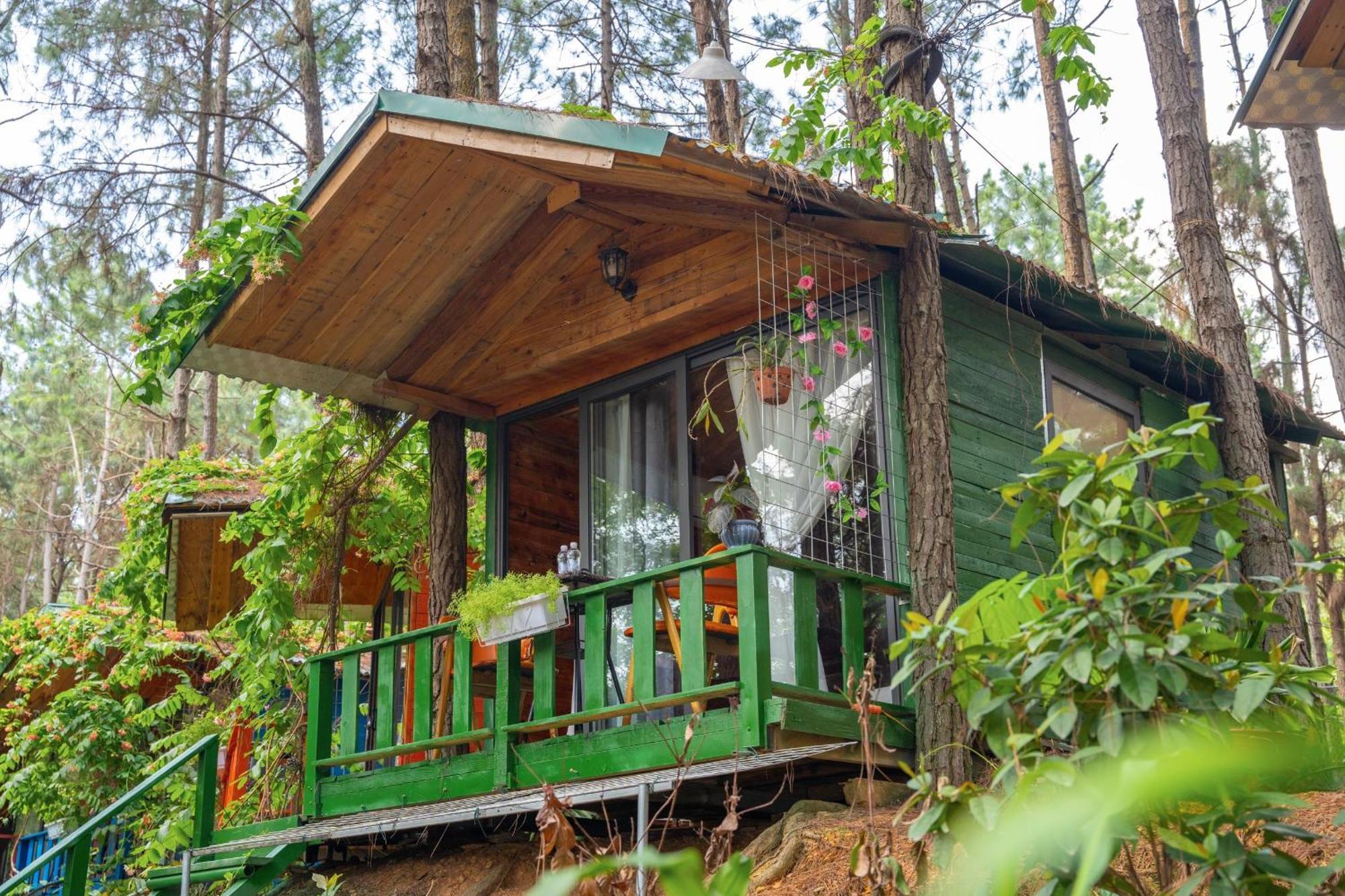 Chalet Pine Hill & Hanoi