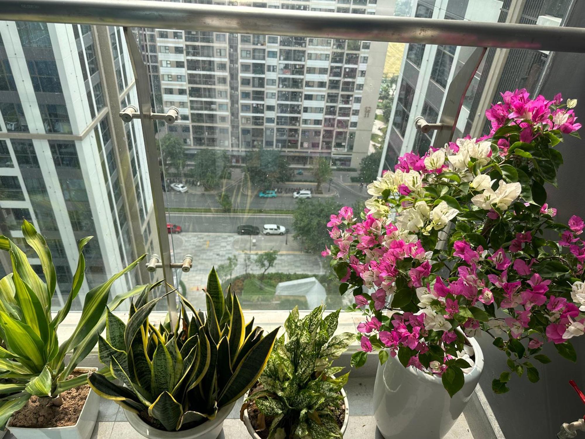 Apartment Masterise - Oceanpark - Luxury Hanoi