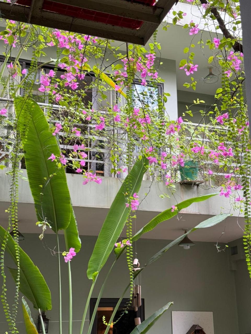 Hidden Gem 2 Homestay