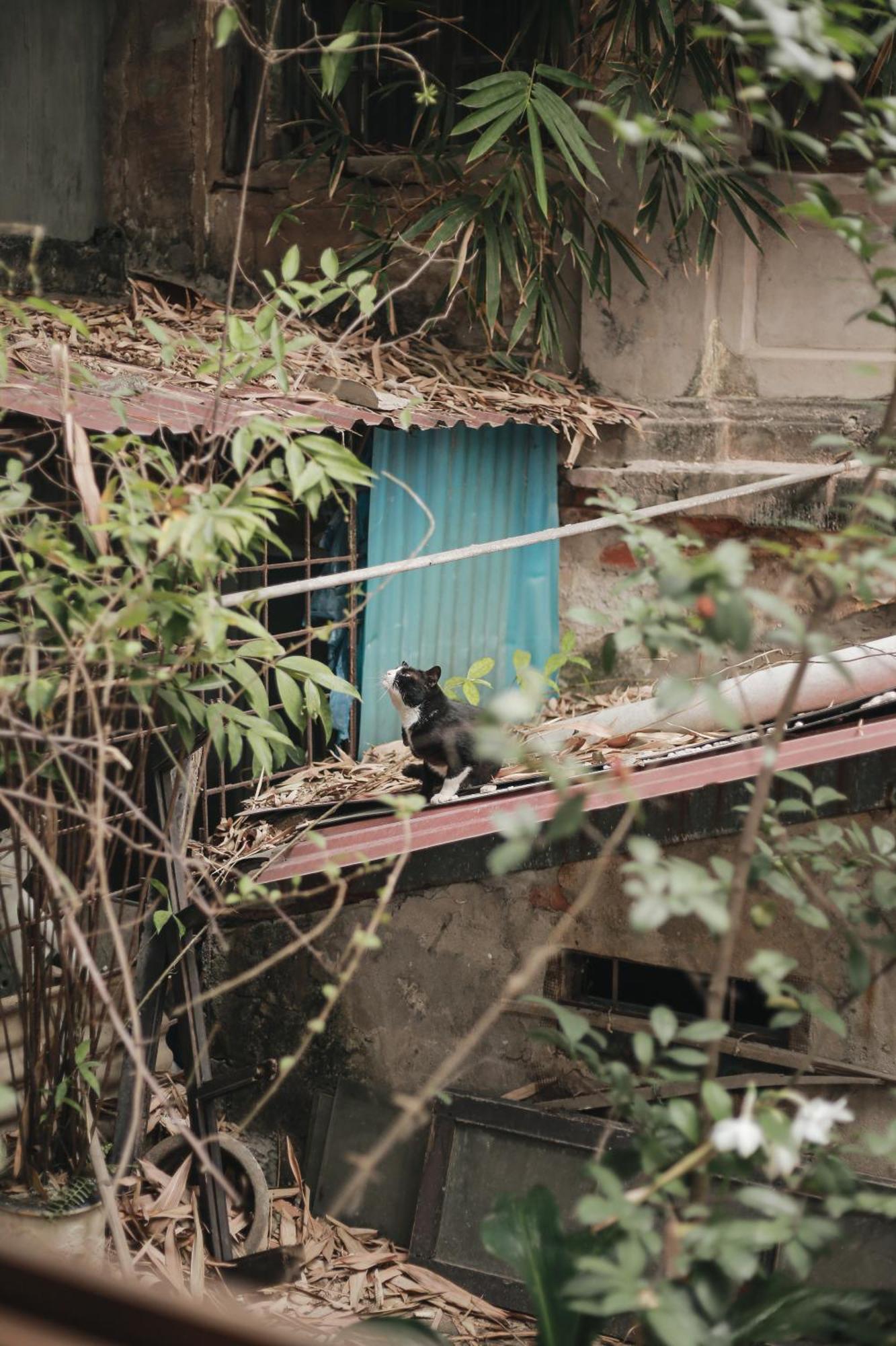 Hidden Gem 2 Hanoi