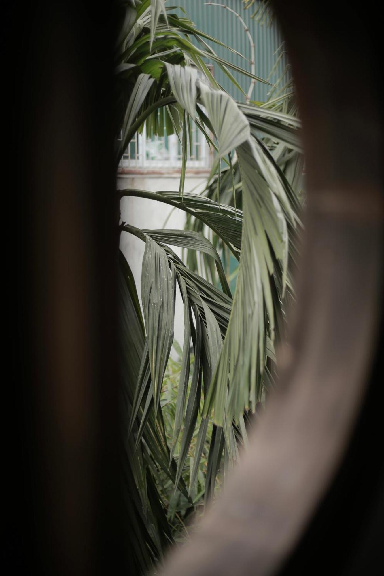 Homestay Hidden Gem 2 *