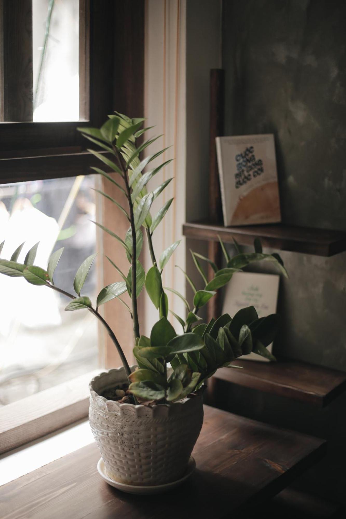 Homestay Hidden Gem 2