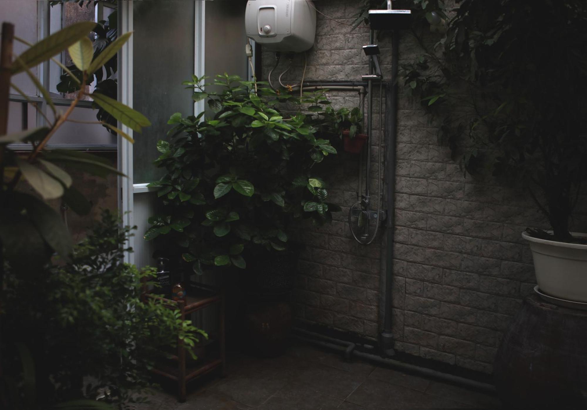 Bed & Breakfast The First Ba Trieu Ha Noi
