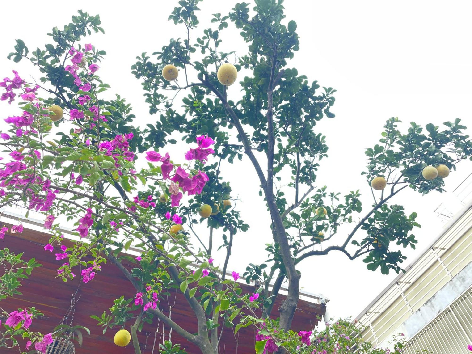 Pangsapuri Residence-800m From Opera House Hanoi