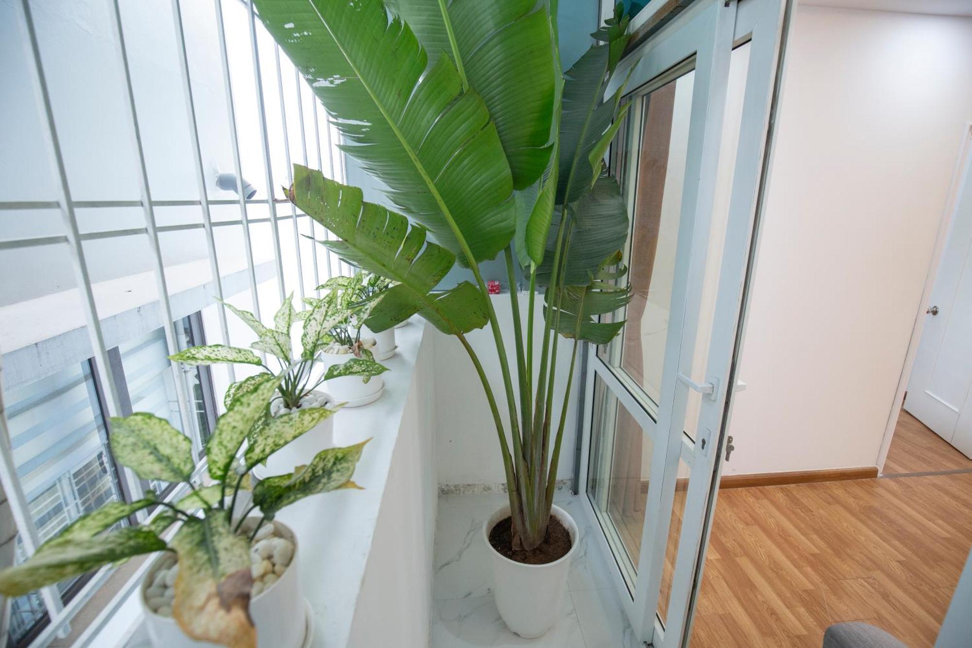 Sumitomo 4 Serviced & Breakfast Apartment Hanoi