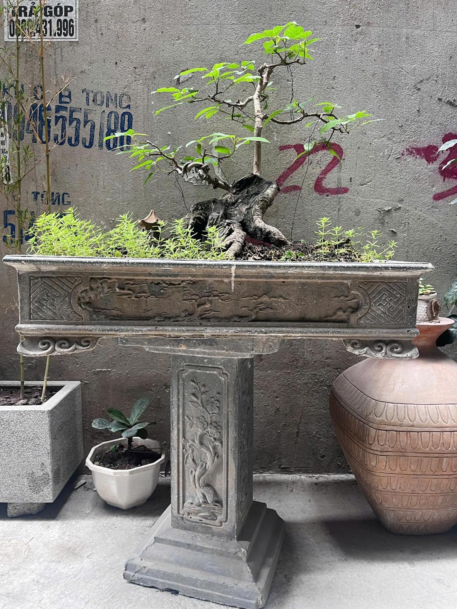 Healing Apartment