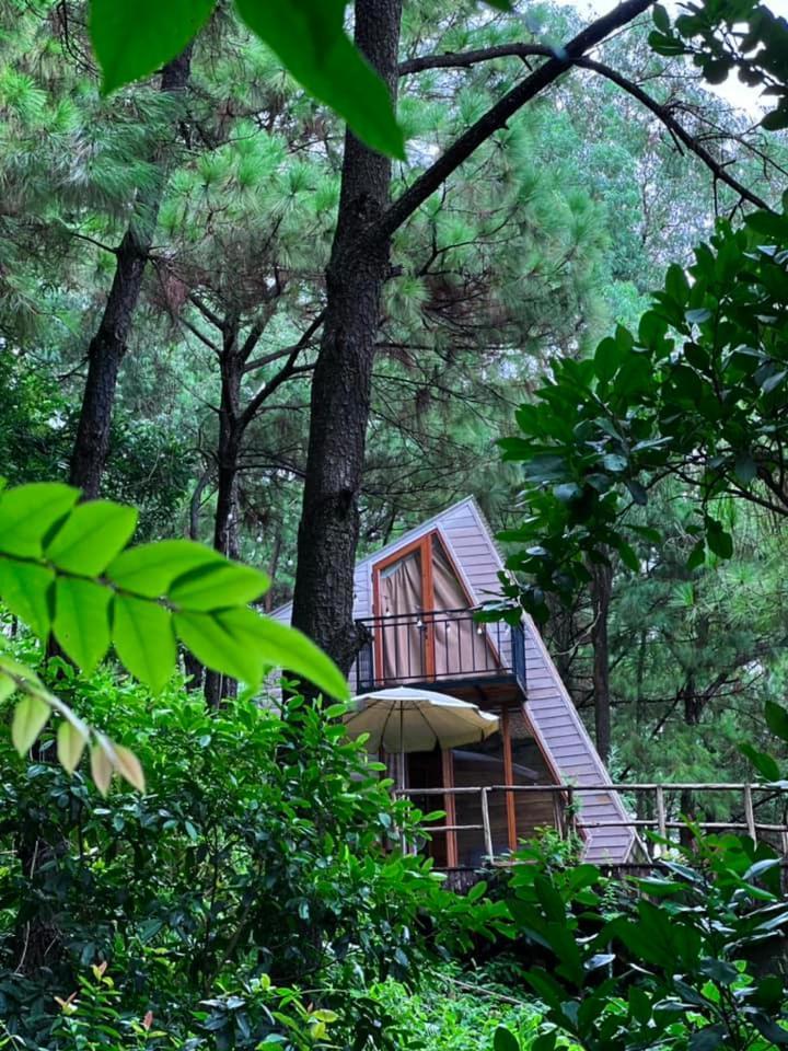 Rubik House Chalet