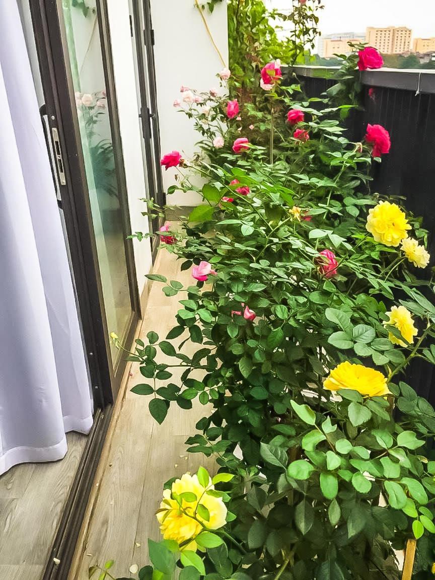 Line Long Bien - Serviced - Ngoc Thuy - Apartment
