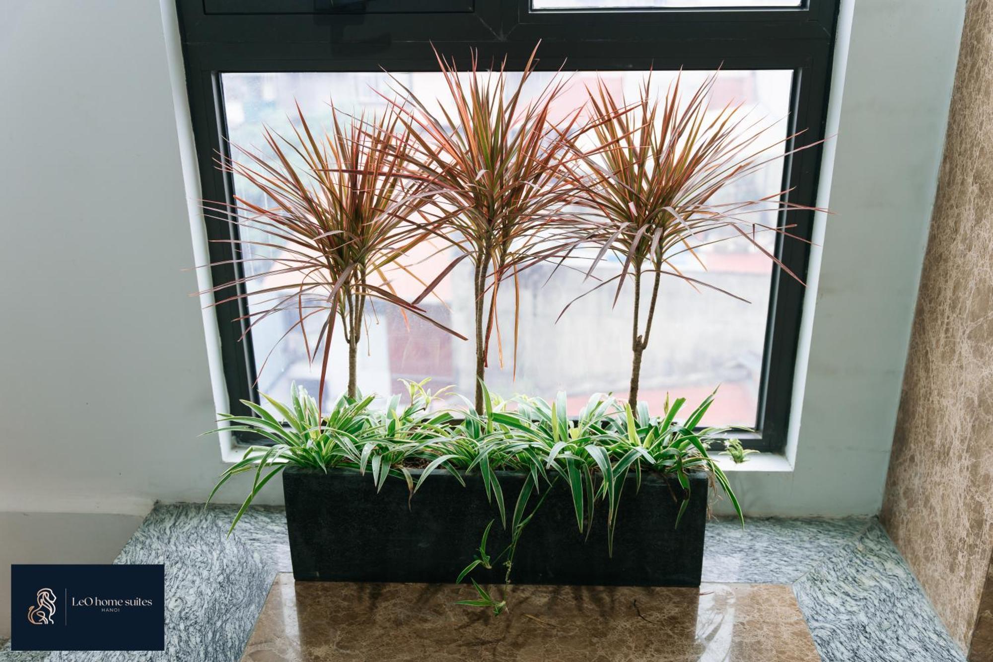 -natural Light -projector -spacious - 2br Incenter * Hanoi
