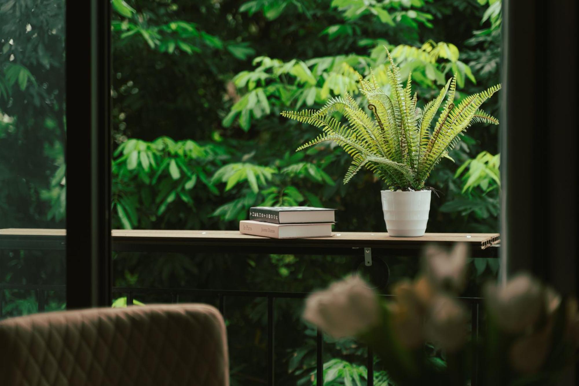 Lahomestay Khuat Duy Tien Pangsapuri Hanoi