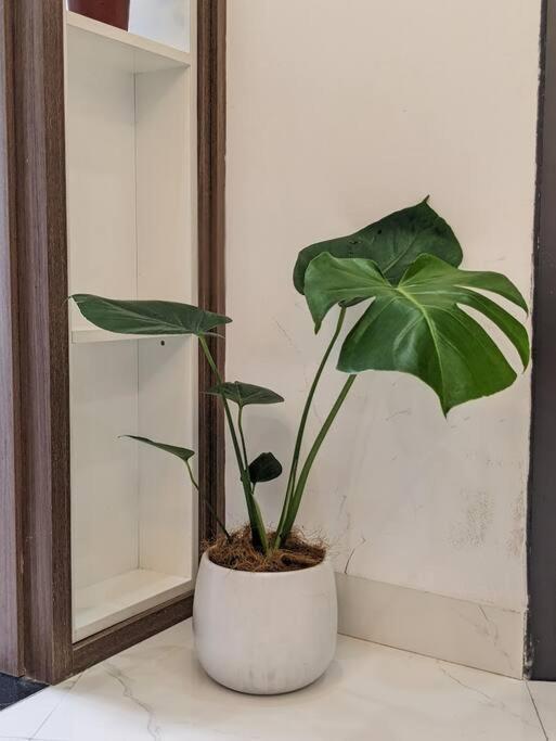 Cozy W/ 2 Private Br & Free Bike Parking Apartment