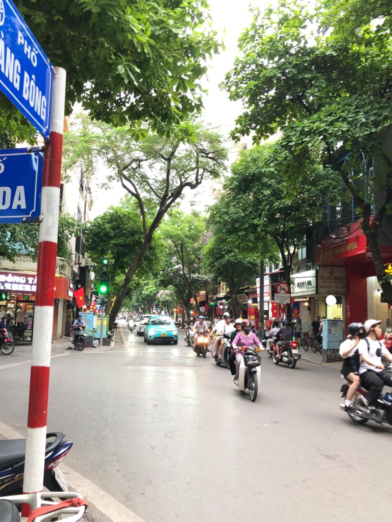 Privatehouse'sartistbrkitchenbalconyoldquarter Pangsapuri Hanoi