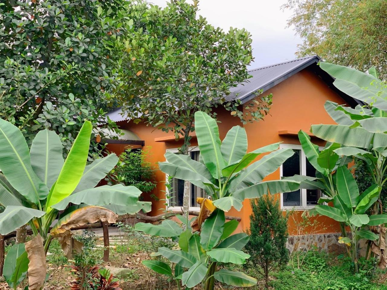 Paradise Soc Son Hà Nội
